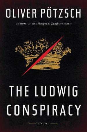 Cover of the book The Ludwig Conspiracy by Martha Rose Shulman
