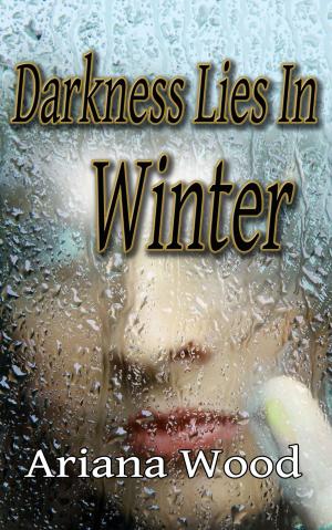 Cover of the book Darkness Lies In Winter by Story Time Stories That Rhyme