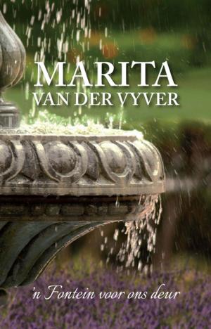 Cover of the book 'n Fontein voor ons deur by Maretha Maartens