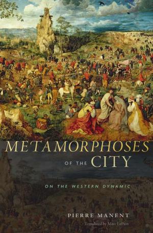 Cover of the book Metamorphoses of the City by Nicholas Diakopoulos