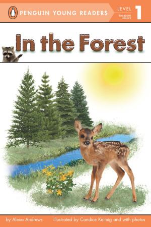 Cover of the book In the Forest by Grosset & Dunlap