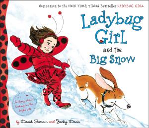 Cover of the book Ladybug Girl and the Big Snow by Emily Arnold McCully