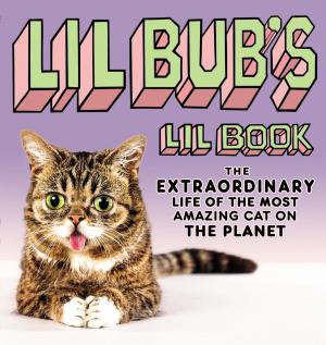Cover of the book Lil BUB's Lil Book by Lynn Gaston, Randy Gaston