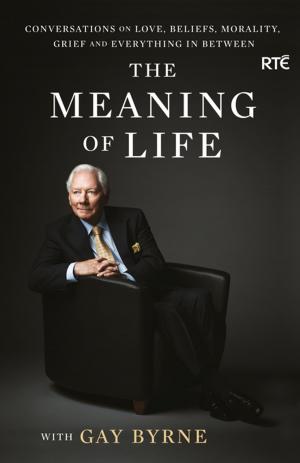 Cover of the book The Meaning of Life with Gay Byrne by Padraig Yeates