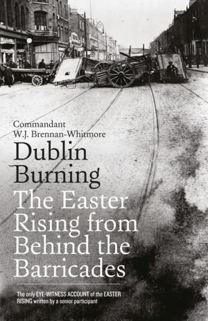 Cover of the book Dublin Burning: The Easter Rising From Behind the Barricades by Padraic O'Farrell
