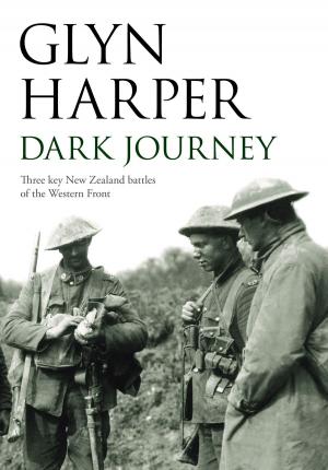 Book cover of Dark Journey