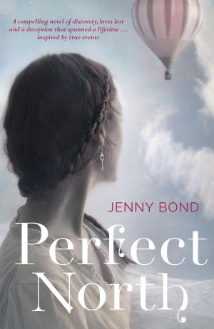 Book cover of Perfect North
