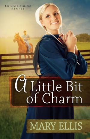 Cover of the book A Little Bit of Charm by Tim Shoemaker