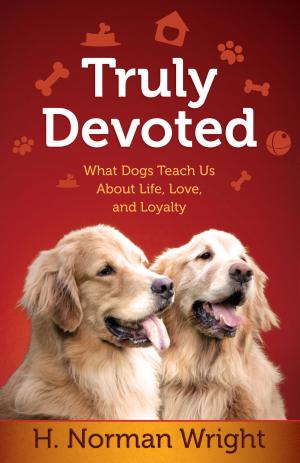 bigCover of the book Truly Devoted by 