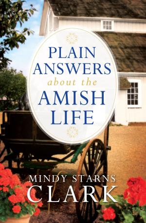 bigCover of the book Plain Answers About the Amish Life by 