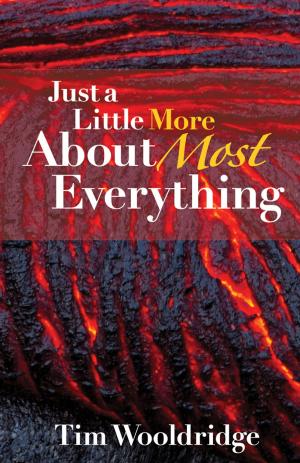 Cover of the book Just A Little More About Most Everything by Victor Ahwireng