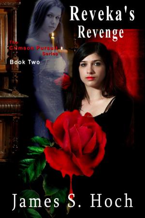 Cover of the book Reveka's Revenge by Margaret Marr