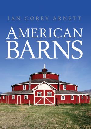 bigCover of the book American Barns by 
