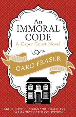 Cover of the book An Immoral Code by Patricia Hall