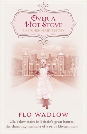 Cover of the book Over a Hot Stove by Nicola Ford