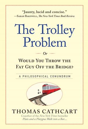 Cover of the book The Trolley Problem, or Would You Throw the Fat Guy Off the Bridge? by Myra Goodman, Linda Holland, Pamela McKinstry