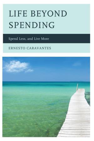Cover of the book Life Beyond Spending by David A. Peters