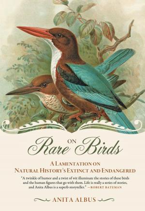 Cover of On Rare Birds