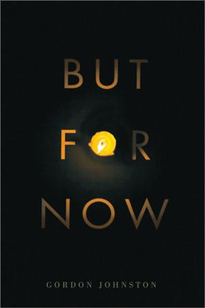 Cover of the book But for Now by Calvin Hollett