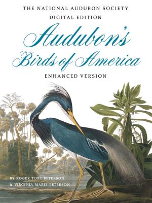 Cover of the book Audubon's Birds of America by Alexandre Dumas