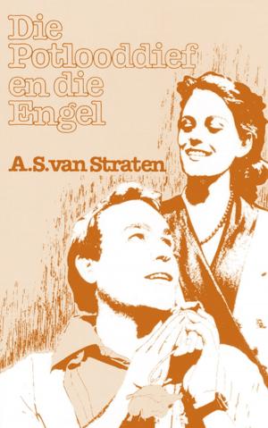 Cover of the book Die Potlooddief en die engel by Marié Heese