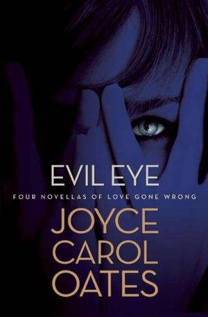 Cover of the book Evil Eye by Sandra Frid