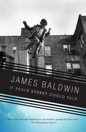 Cover of the book If Beale Street Could Talk by Dexter Filkins