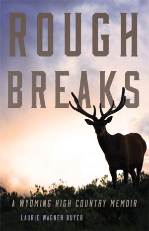 Cover of the book Rough Breaks by Rose Marie Beebe, Robert M Senkewicz