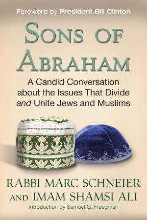 Cover of the book Sons of Abraham by Mark Doty