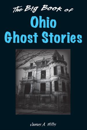 Cover of the book The Big Book of Ohio Ghost Stories by Jim Parker