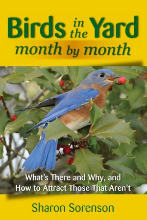 Cover of the book Birds in the Yard Month by Month by Pete Dunne
