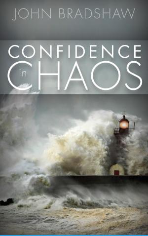 bigCover of the book Confidence in Chaos by 