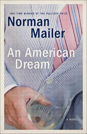 Cover of the book An American Dream by Patrick Somerville