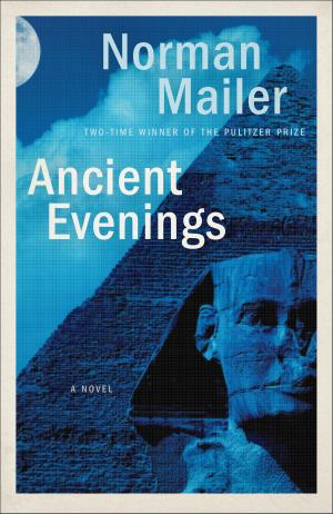 Book cover of Ancient Evenings