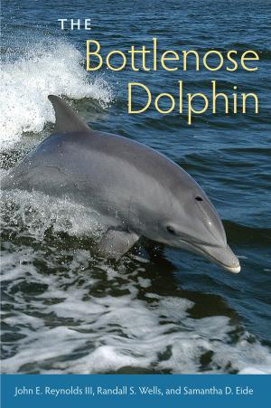 Book cover of The Bottlenose Dolphin