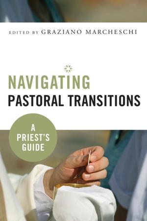 Cover of the book Navigating Pastoral Transitions by Michael Connors CSC
