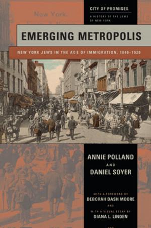 Cover of the book Emerging Metropolis by Steven Lubet