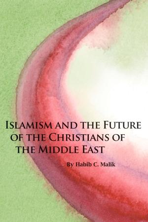 Book cover of Islamism and the Future of the Christians of the Middle East