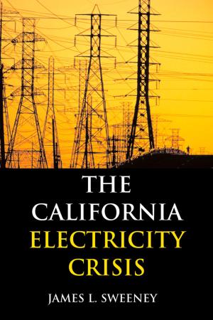 Book cover of The California Electricity Crisis