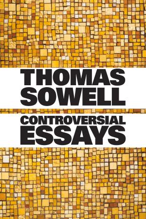 Cover of the book Controversial Essays by Robert E. Hall, Alvin Rabushka