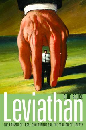 Cover of the book Leviathan by David Koitz