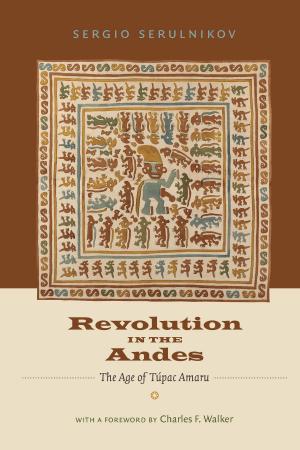Cover of the book Revolution in the Andes by John Michael