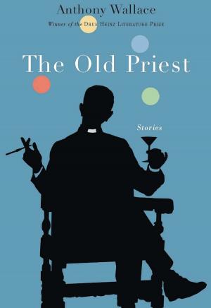 Book cover of The Old Priest