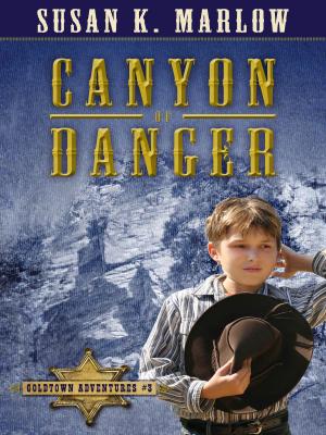 Cover of the book Canyon of Danger by Susan K. Marlow