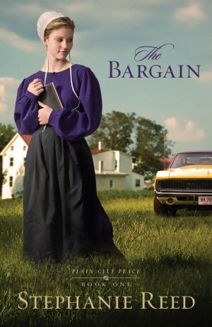 Book cover of The Bargain