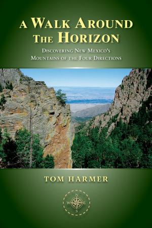 Cover of the book A Walk Around the Horizon by Rachel c Thompson