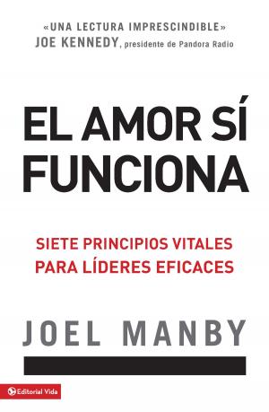 Cover of the book El amor si funciona by Mel Lawrenz