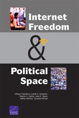 Book cover of Internet Freedom and Political Space