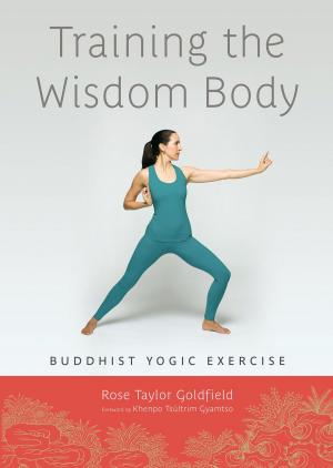 Cover of the book Training the Wisdom Body by Douglas G. Flemons