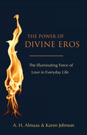 Book cover of The Power of Divine Eros